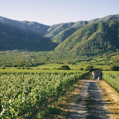 gallinero-retoque-min-scaled